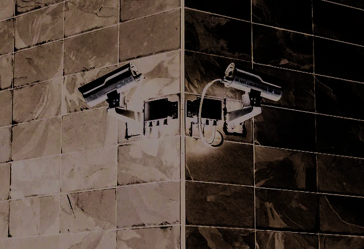 Surveillance Systems